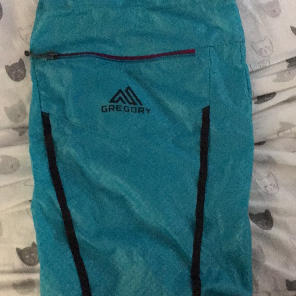 Gregory Backpack